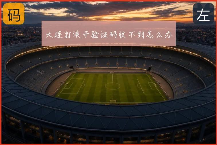 大连打滚子验证码收不到怎么办