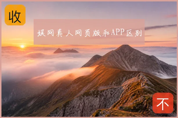 娱网真人网页版和APP区别
